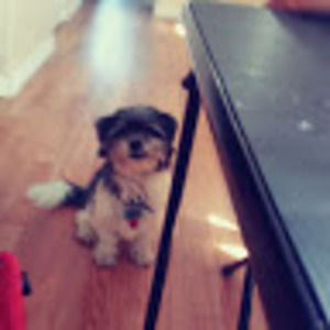 Meet your Posher, Kay kay